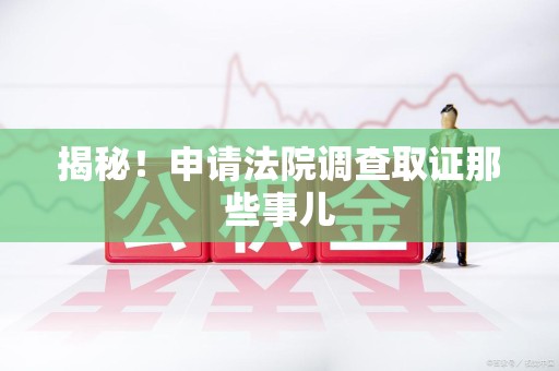 全南揭秘！申请法院调查取证那些事儿
