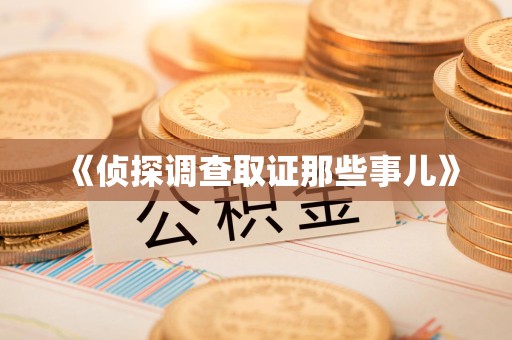 全南《侦探调查取证那些事儿》