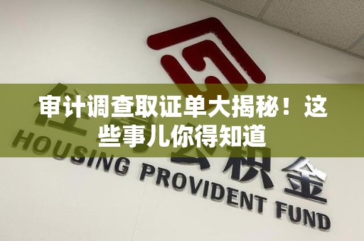 全南审计调查取证单大揭秘！这些事儿你得知道