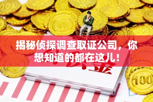 全南揭秘侦探调查取证公司，你想知道的都在这儿！