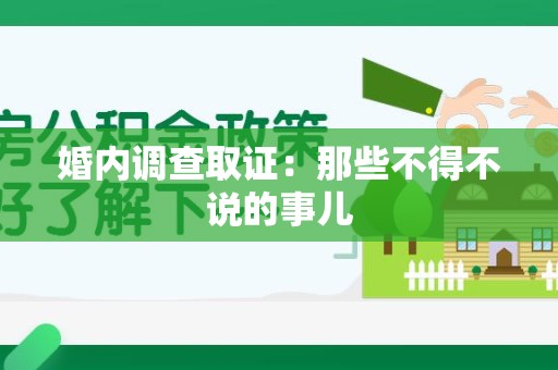 全南婚内调查取证：那些不得不说的事儿