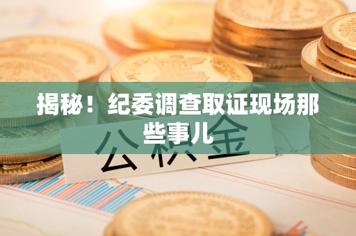 全南揭秘！纪委调查取证现场那些事儿