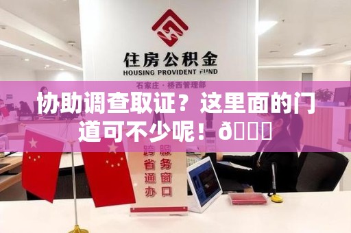 全南协助调查取证？这里面的门道可不少呢！😎