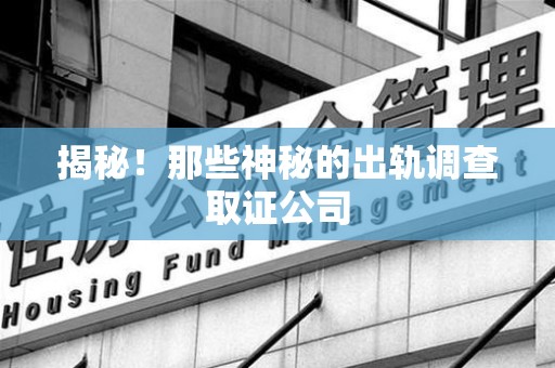全南揭秘！那些神秘的出轨调查取证公司