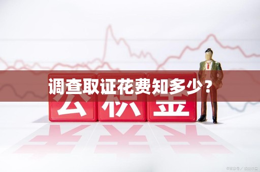 全南调查取证花费知多少？