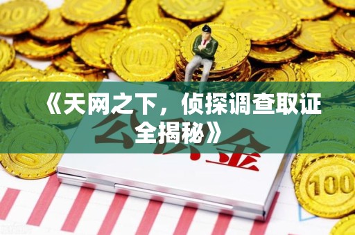 全南《天网之下，侦探调查取证全揭秘》