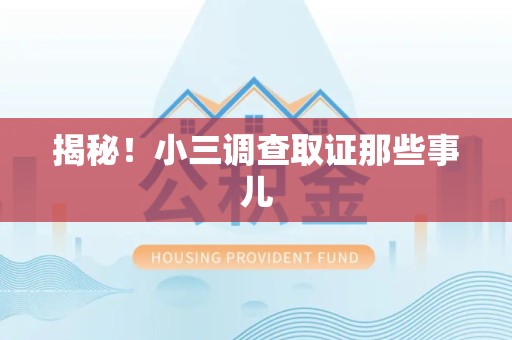 全南揭秘！小三调查取证那些事儿