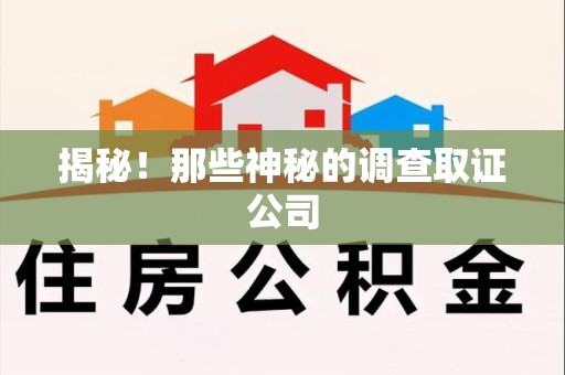 全南揭秘！那些神秘的调查取证公司