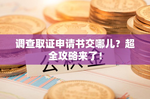 全南调查取证申请书交哪儿？超全攻略来了！