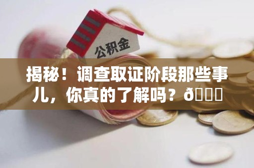 全南揭秘！调查取证阶段那些事儿，你真的了解吗？😎