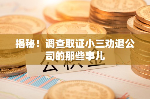 全南揭秘！调查取证小三劝退公司的那些事儿
