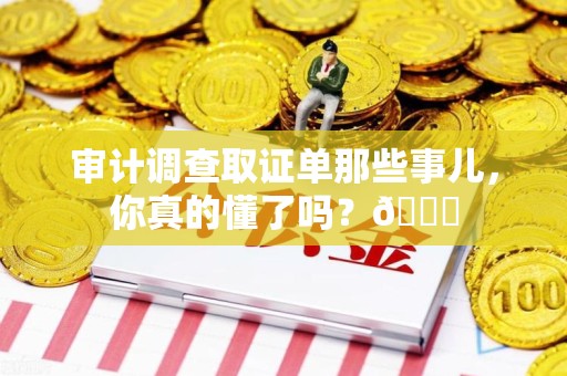 全南审计调查取证单那些事儿，你真的懂了吗？😎